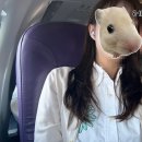 도그베이 동탄호수공원점 | [동탄] 여기머리잘헤어 동탄호수공원점 | 오사카 가기전에 전체염색 후기 (재용 디자이너님)