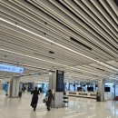 금호 어린이집 | [제주3박4일] 송송김밥, 제주금호리조트, 무량제주, 올래시장 야시장_1일차