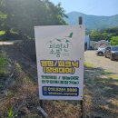 신광면/비학산 | 포항 신광면 아이들과 가볼 만한 곳 비학산 소풍