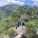 충북 괴산군 마분봉~악휘봉 [은티마을~ 마법의성 능선~ 마분봉~ 악휘봉~ 은티마을] 이미지