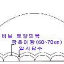 "방울토마토" 재배기술 이미지