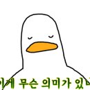 콩드립로스터스 이미지
