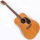 포크기타 (중급) 이미지