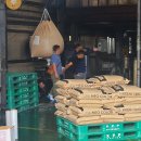 행정사정선구사무소 이미지