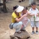 살아있는 거북이 등에 올라탄 그 나라(?) 이미지