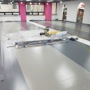 플레이독애견카페 이미지