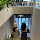[세종/어진동] 정관장 카페 사푼사푼 세종점 (SAPOON SAPOON)