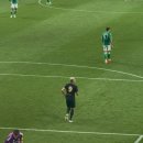 포에버 텔 | 2025 쿠플시리즈 - 토트넘vs뉴캐슬 직관 후기