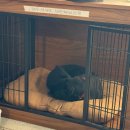 동천성당 앞 | 기묘한 서울살이🔮