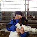 염소야놀자 이미지