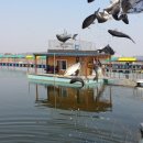 석곡낚시터 이미지