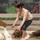 순수오리농장 이미지