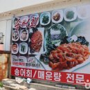 느티나무횟집 티스토리