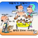 닭팔자