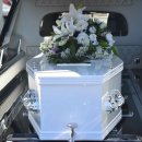 강원장의사 이미지