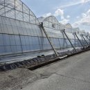 중열농장 이미지