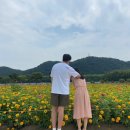 울산 KTOP 케이탑 웨딩 박람회 후기, 계약금 환불까지 과정