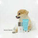 (주)벨모나 이미지