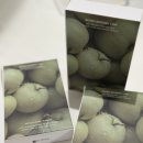 본디한의원 | 본디한의원 다이어트환 추천 내돈내산 후기