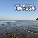 바다정원펜션 | 야간 워킹해루질 초보자 후기! 서산 두꺼비 식당, 태안 윤슬 카페, 곰섬바다정원펜션, 파파스테이크...