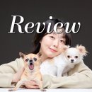 공감 | 덕양구 사진관 추천ㅣ반려견과 인생샷 찍기 좋은 '스튜디오 공감' 촬영 후기