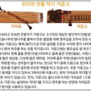 신나는 과학(A) 이미지