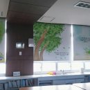 좌천초등학교 Daum카페