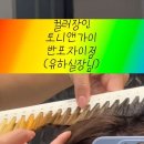 스타벅스 반포자이점 이미지