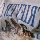 올스테이인 이미지