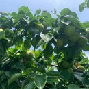 구월4동-21 이미지