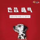 라이프반점 이미지