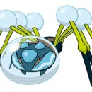 꼬꼬랜드 이미지