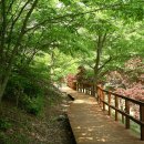 충남 보령 여행 베스트10 이미지