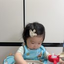 글씨쓰는하라