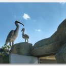 김해한림박물관 이미지