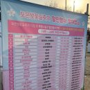 결초보은시장(구 보은종합시장) | 보은 벚꽃길 축제 후기, 4월 4일 벚꽃 개화 상황, 보은 당일치기 여행 후기 [2025 보은 벚꽃길 축제]