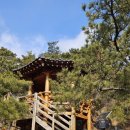 홍록배드민턴장 이미지