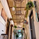 훈트가르텐 이미지