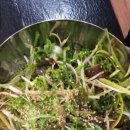 해운대숯불갈비 이미지