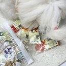 봄덴탈 | #후기 : 기호성 굳! 강아지 간식 비건 쿠키 · 덴탈 껌🍓🥬🥕