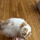 골프아카데미 블루 | 25년 총정리-2(하반기)