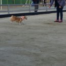 펫타임대구수성레이크점 이미지