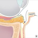 리즈라인의원 이미지