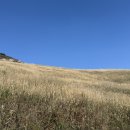 황금사슴농장 이미지