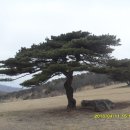 소호마을 이미지