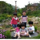 들놀이공원 이미지