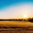 화이트스마일치과의원 이미지