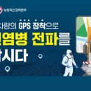 강아지본부 이미지