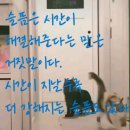 책고양이 | [책 후기] 빵과 수프, 고양이와 함께하기 좋은 날1 -무레 요코 (이소담 옮)