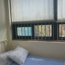 SN자동차병원 | 정신병원 폐쇄병동 다녀왔습니다: 정신간호학 실습 후기